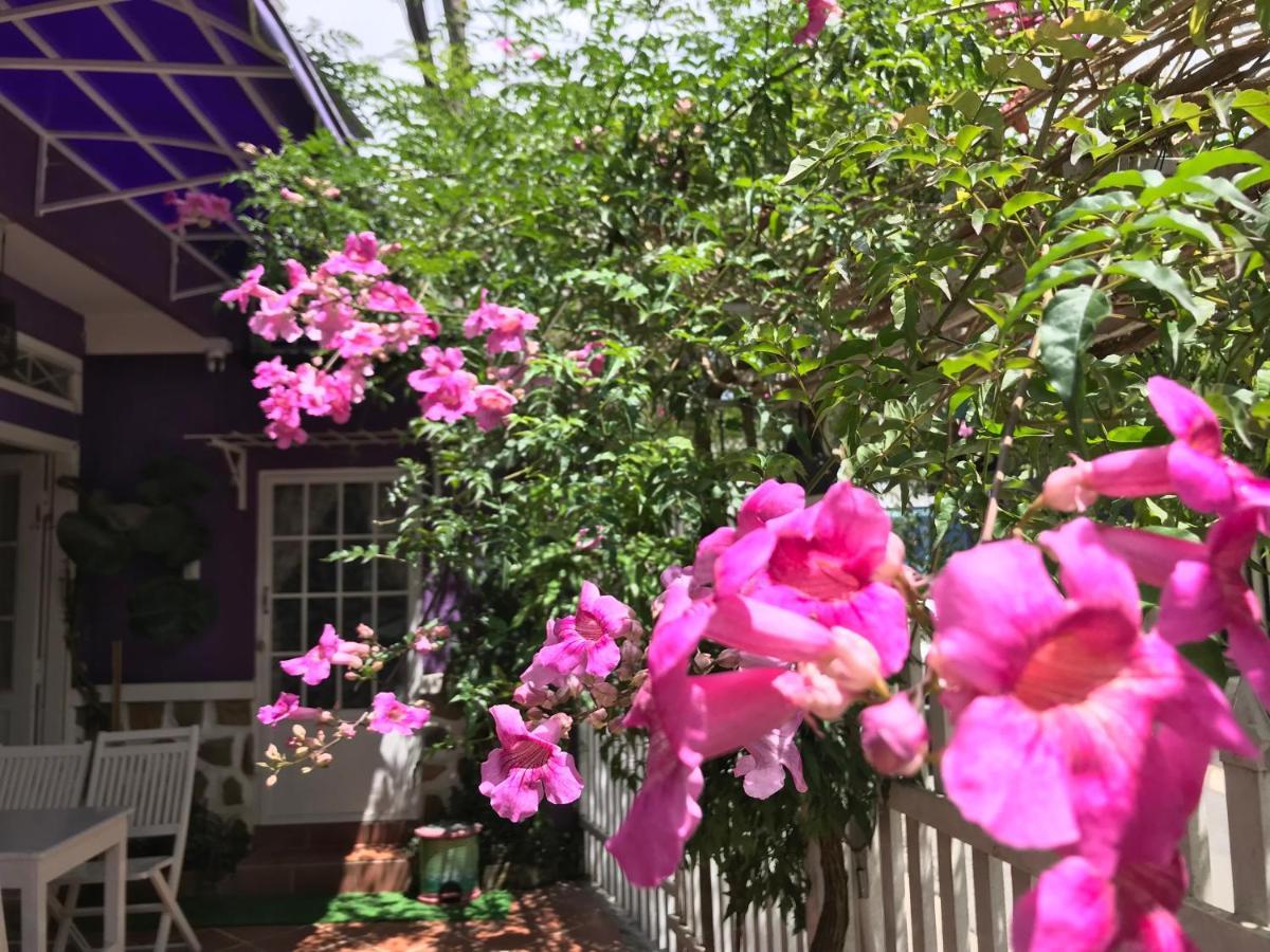 דה לאט Nha Tim Homestay מראה חיצוני תמונה