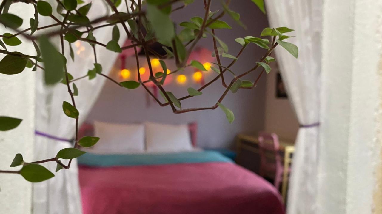 דה לאט Nha Tim Homestay מראה חיצוני תמונה