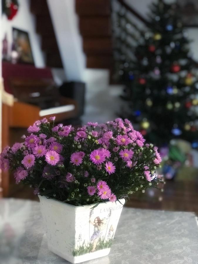דה לאט Nha Tim Homestay מראה חיצוני תמונה